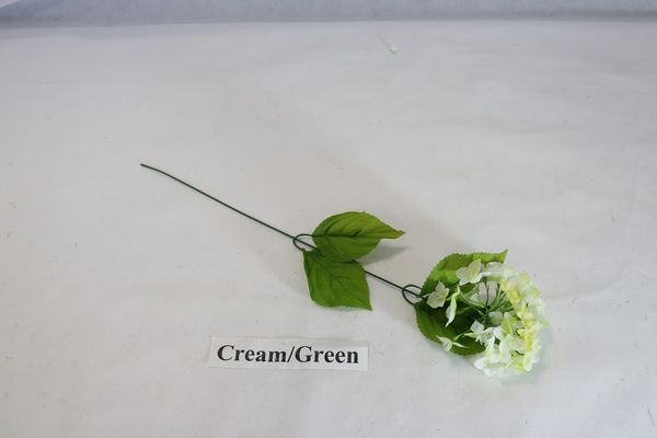 Hortensia - Cream/Green