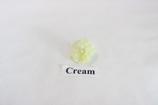 Carnation head - Cream