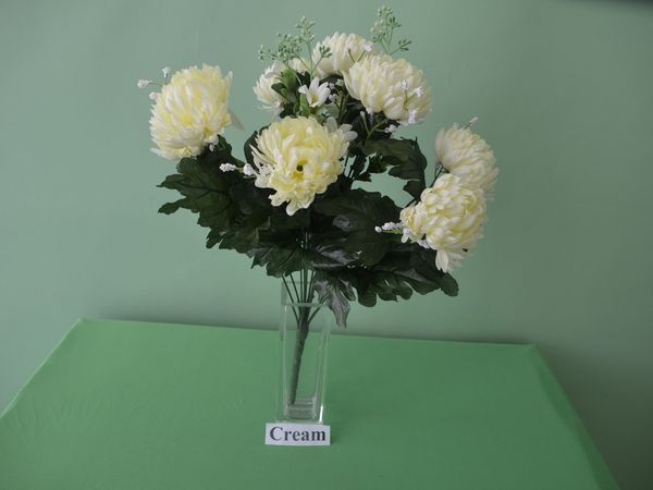 Mum Bush x 12 - Cream