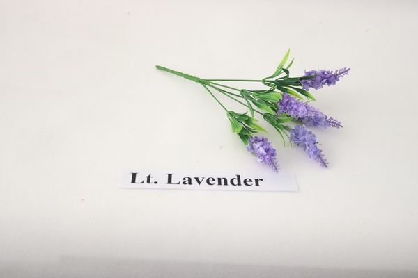 Lavender bush x 5