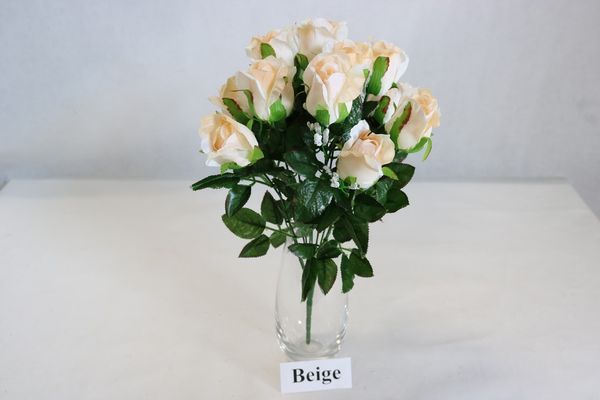 Rose gyps bush x 12 - Cream