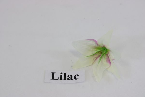 Lily head packing of 24 pcs