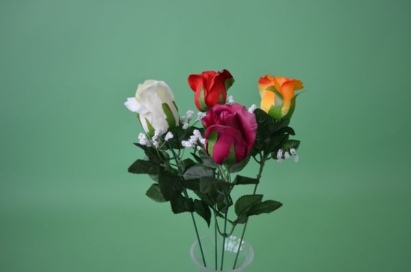 Rose new with gyps - Assorted s cream farbou