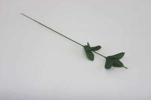 Rose stem pack 24 pcs