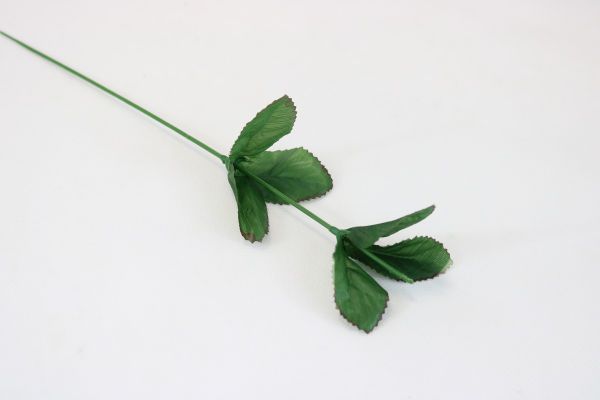 Rose stem pack of 24 pcs - Green